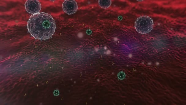 淋巴细胞、 病毒 — 图库视频影像