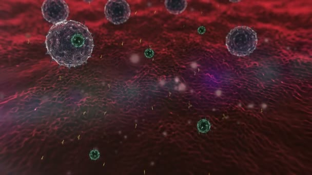 Lymphocytaire, virus