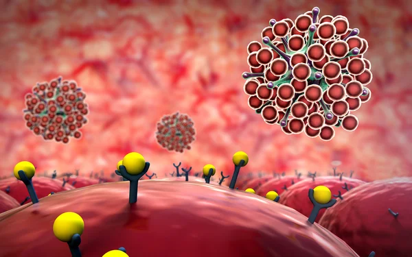 Reseptörleri, virüs