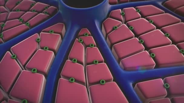 Cellules hépatiques, virus 