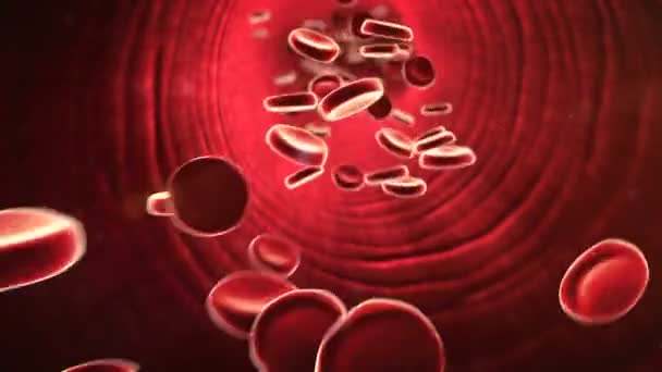 コレステロール、赤血球 — ストック動画