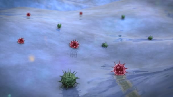 Viruses — Stock Video