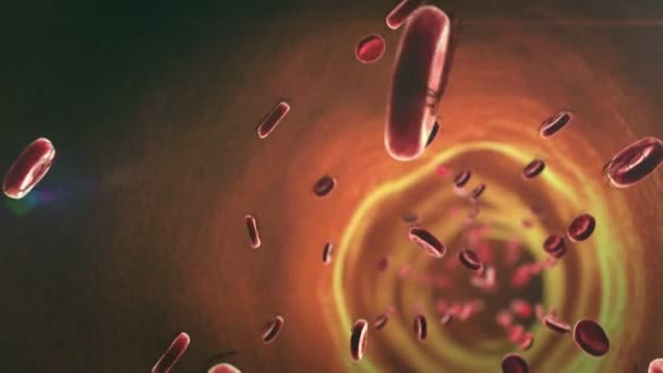 エボラ出血熱、赤血球 — ストック動画
