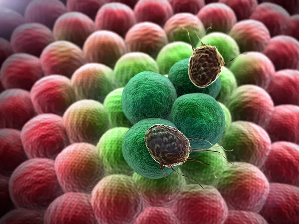 Cancer cell, cells — Stock Photo, Image