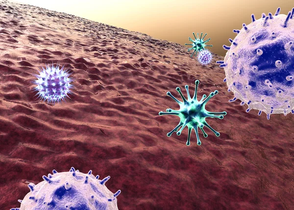 Makrofágů, virus — Stock fotografie