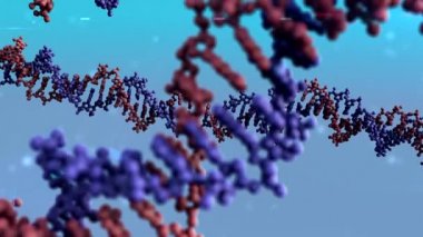 DNA animasyon