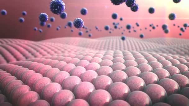 巨噬细胞、 病毒 — 图库视频影像