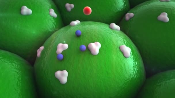 Protéines, cellules 