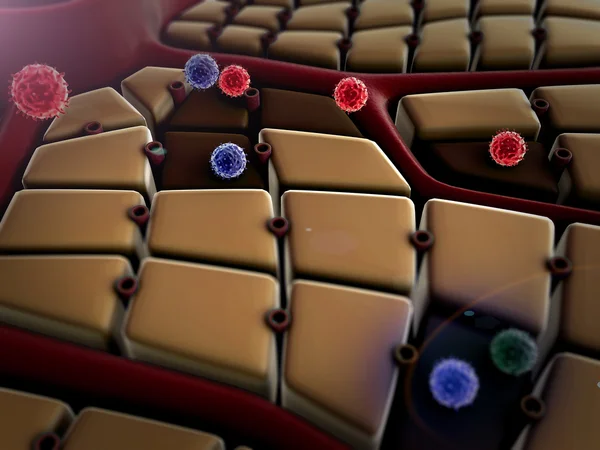 Makrofaj, virüs — Stok fotoğraf