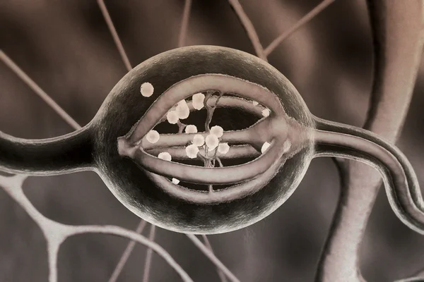 Neuron — Stock Photo, Image