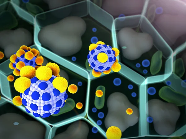 Yağ hücre, makrofaj