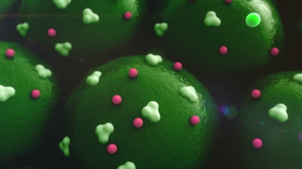 Cellule, récepteurs 