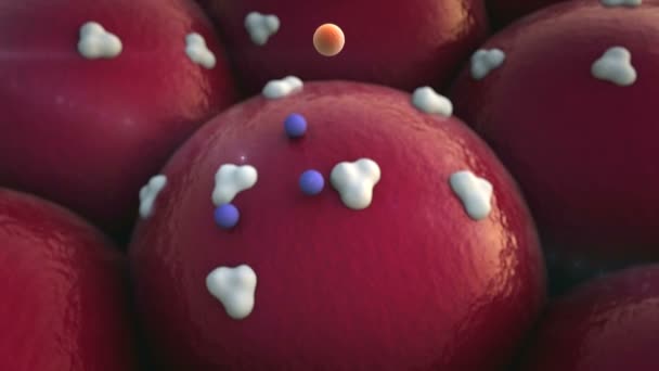 Récepteurs, protéines 