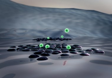 Makrofaj, Beta hücreleri