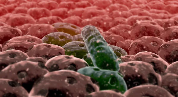 Bacterias — Foto de Stock