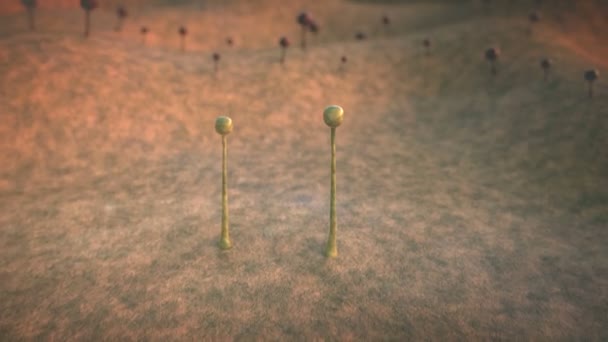 moisissure, spores 