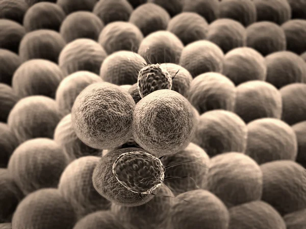 Cell, T-lymphocytes — Stock Photo, Image