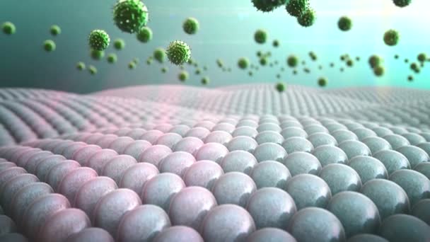 Поле клітин, вірусів — стокове відео