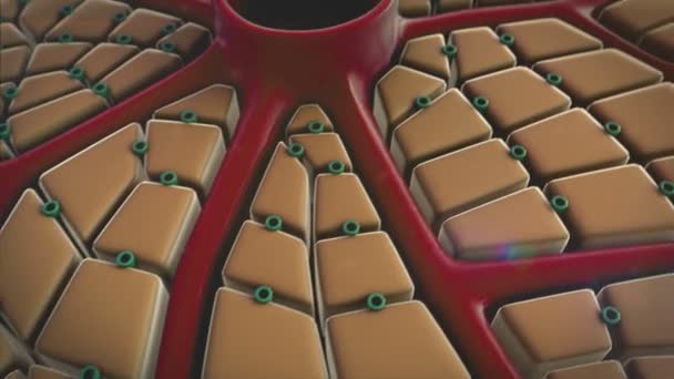 Cellules hépatiques, virus 