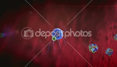 fagosit, makrofaj