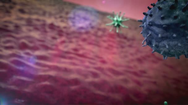 Virüs, makrofaj — Stok video