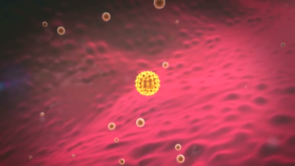 Makrofág, zsírsejtek — Stock videók