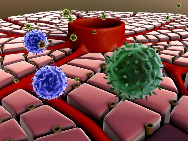 Liver cells, virus — Stock Photo, Image