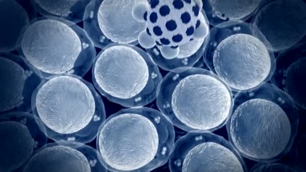 Structure cellulaire, macrophage 