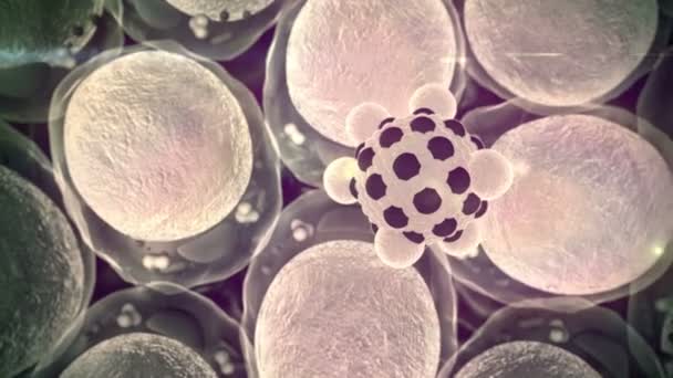 Structure cellulaire, macrophage 