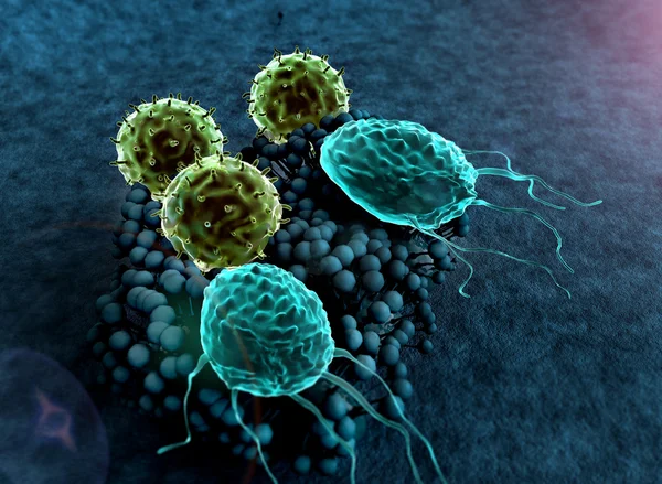 Τ-λεμφοκύτταρα, μούχλα — Φωτογραφία Αρχείου