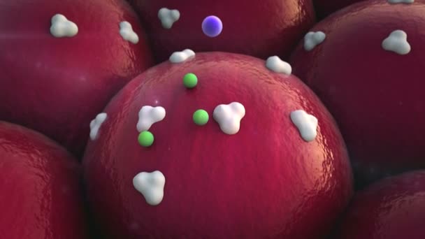 Récepteurs, protéines 