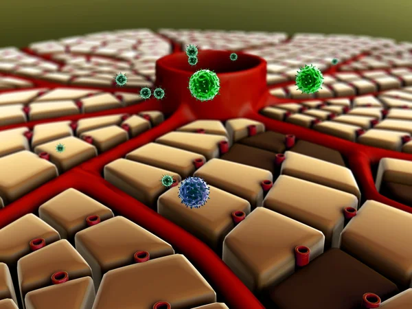 Virus attack the liver — Stock Photo, Image