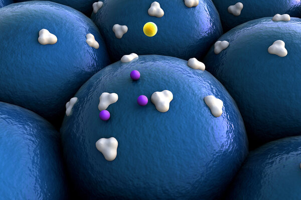 Receptors on the cells surface