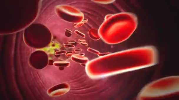 胆固醇血液 — 图库视频影像