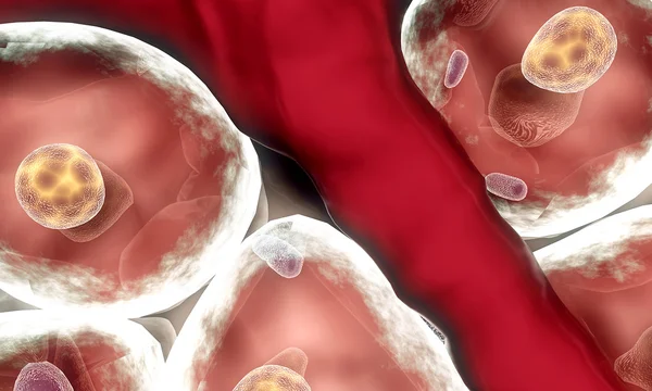 Human cell animation Stock Photos, Royalty Free Human cell animation Images | Depositphotos Human cell animation Stock Photos, Royalty Free Human cell animation Images | Depositphotos