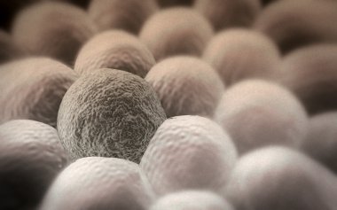 Hücreleri, kanser hücresi