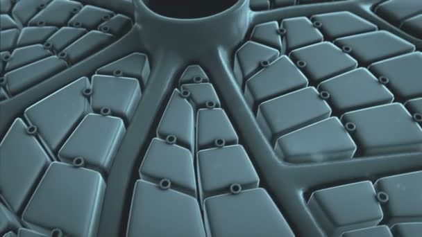 Le coronavirus s'attaque aux cellules des poumons