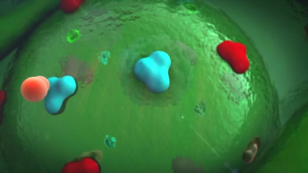蛋白、 细胞 — 图库视频影像