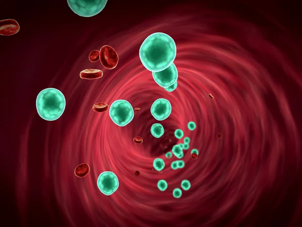 혈관, 적혈구 — 스톡 사진