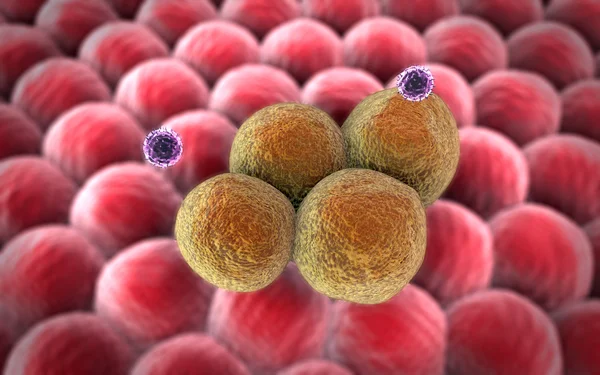 癌細胞、リンパ球 — ストック写真