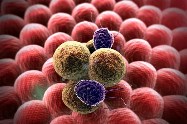 Раковые клетки, фагоциты — стоковое фото