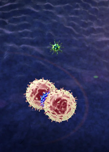Коронавирус атакует лимфоциты — стоковое фото