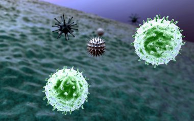 Coronavirus akciğer hücresine saldırır.
