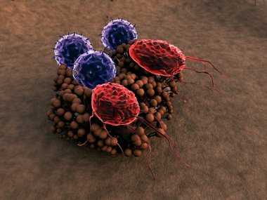 Makrofaj ve virüs