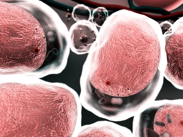 Cells, karyon — Stockfoto