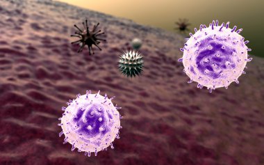 T-lymphocyt, virüs