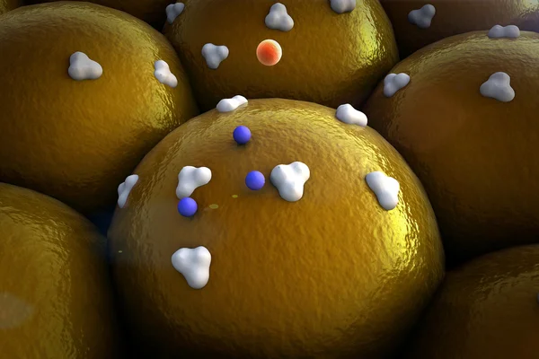 Жировые клетки, белок — стоковое фото