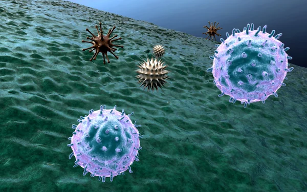 Células cancerosas y linfocitos — Foto de Stock