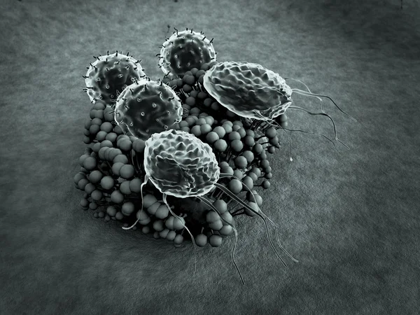 Macrophage and  fungus — Stock Photo, Image