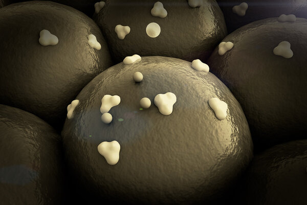 receptors on the cells